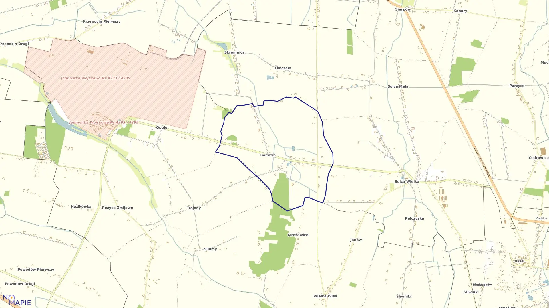 Mapa obrębu BORSZYN w gminie Ozorków